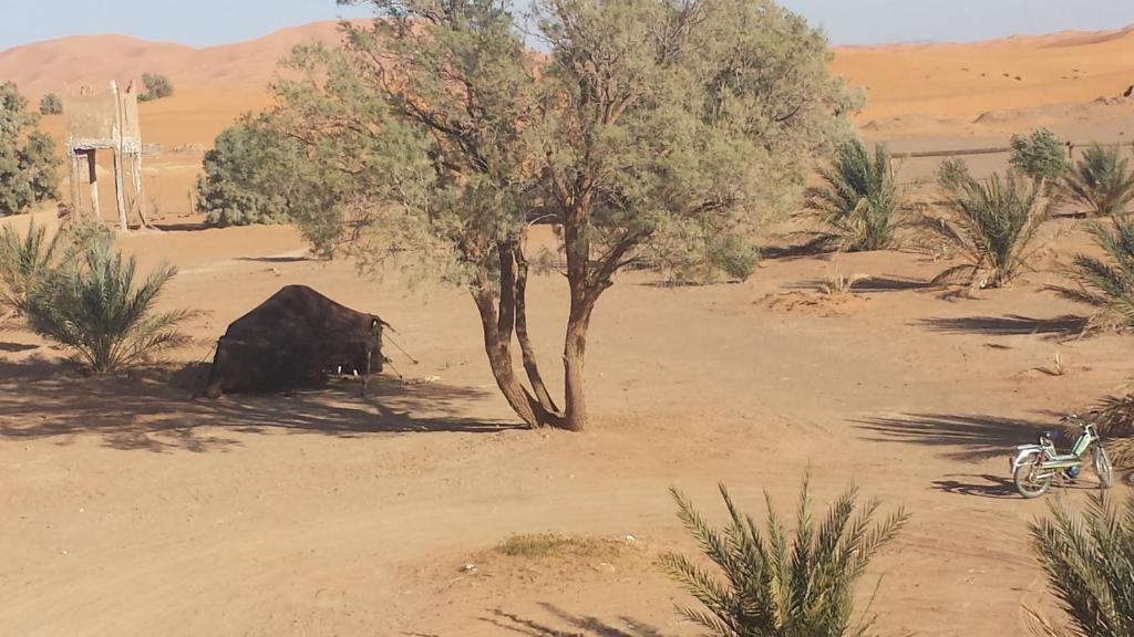 Auberge Africa 메르주가 외부 사진