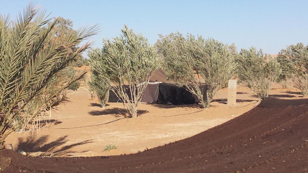Auberge Africa 메르주가 객실 사진