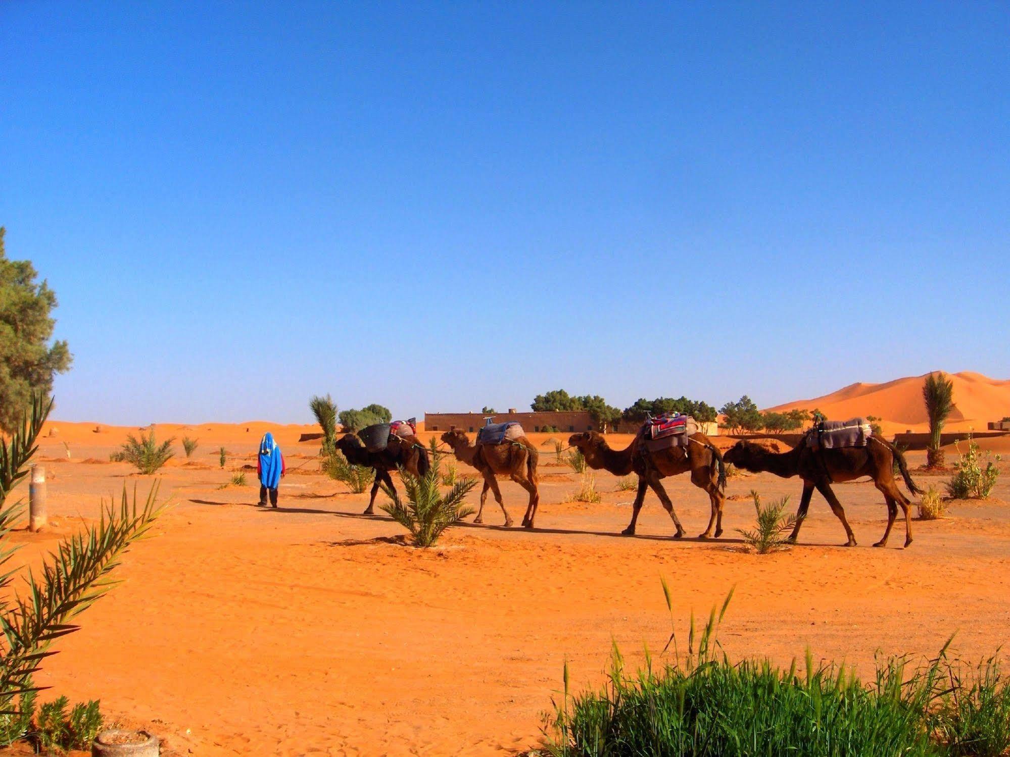 Auberge Africa 메르주가 외부 사진